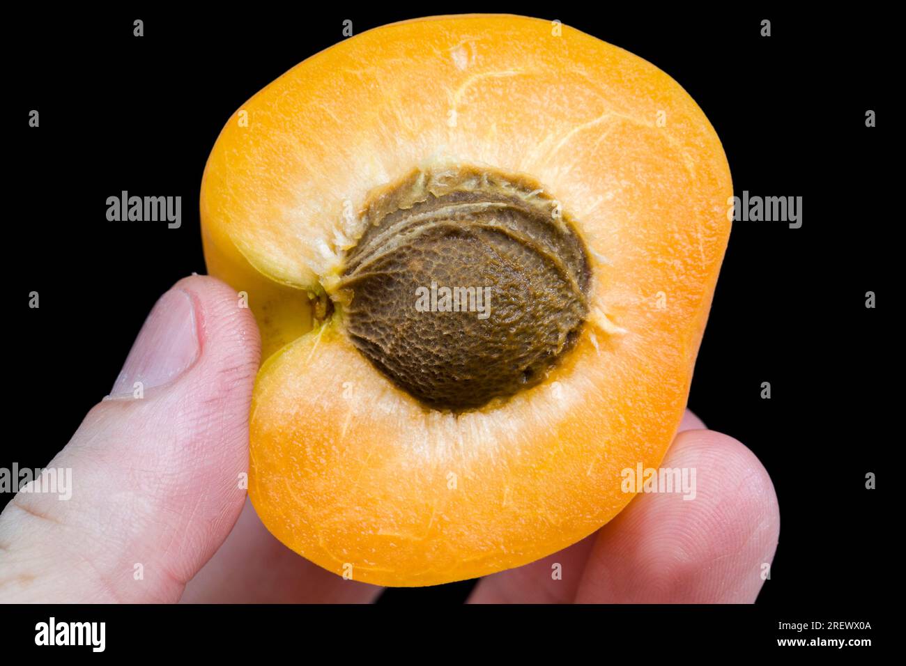abricot orange mûr tranché prêt à la consommation, fruit comestible et sain cultivé sur le territoire des états du sud Banque D'Images