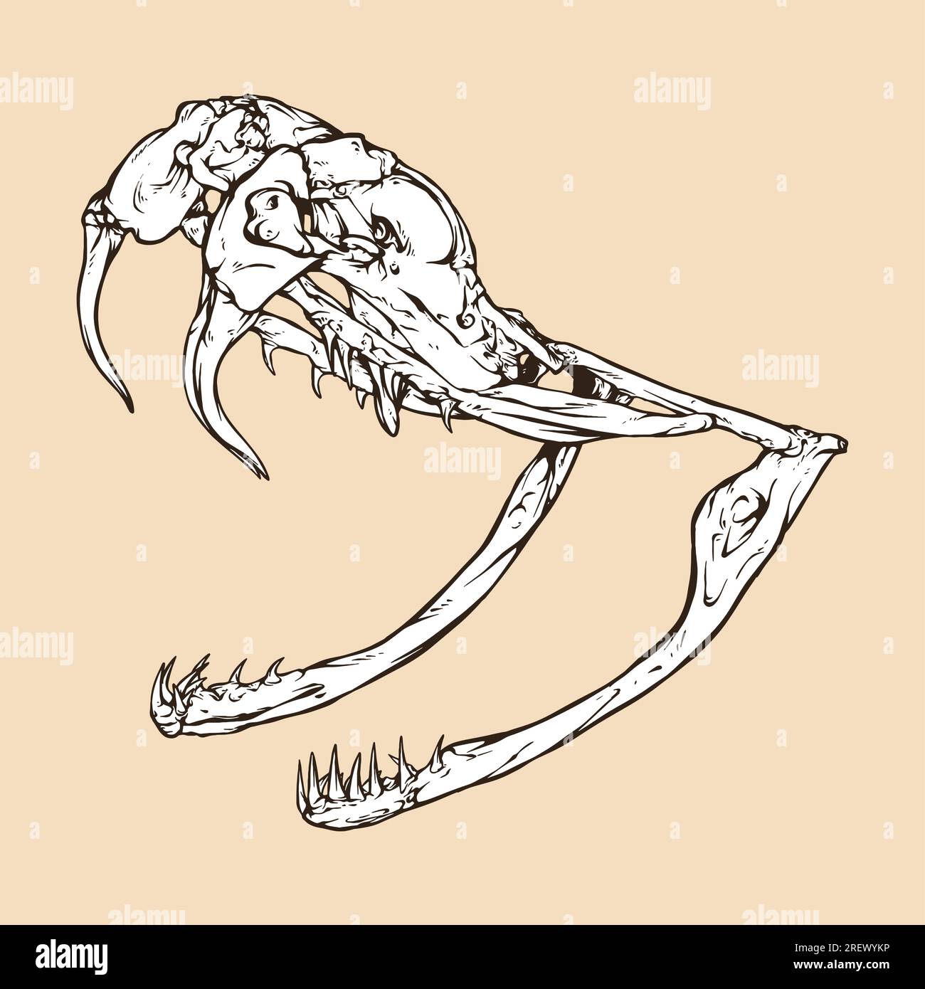 illustration vectorielle de tête de crâne de serpent à sonnette diamondback occidental Illustration de Vecteur