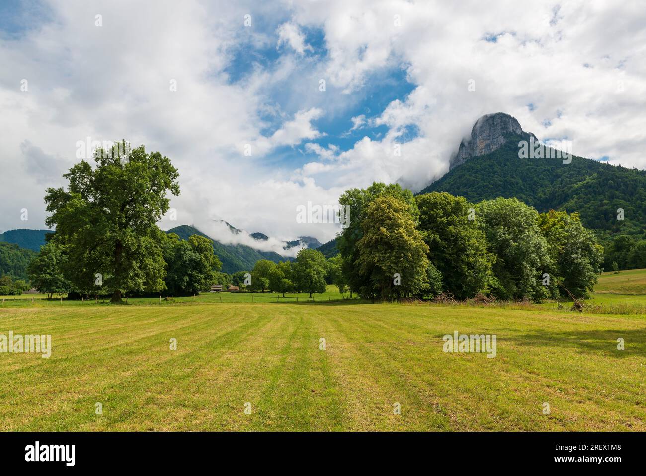 Paysage rural en France près du lac d'Annecy. Champ de ferme verte avec clôture, arbres et montagnes sur le fond Banque D'Images