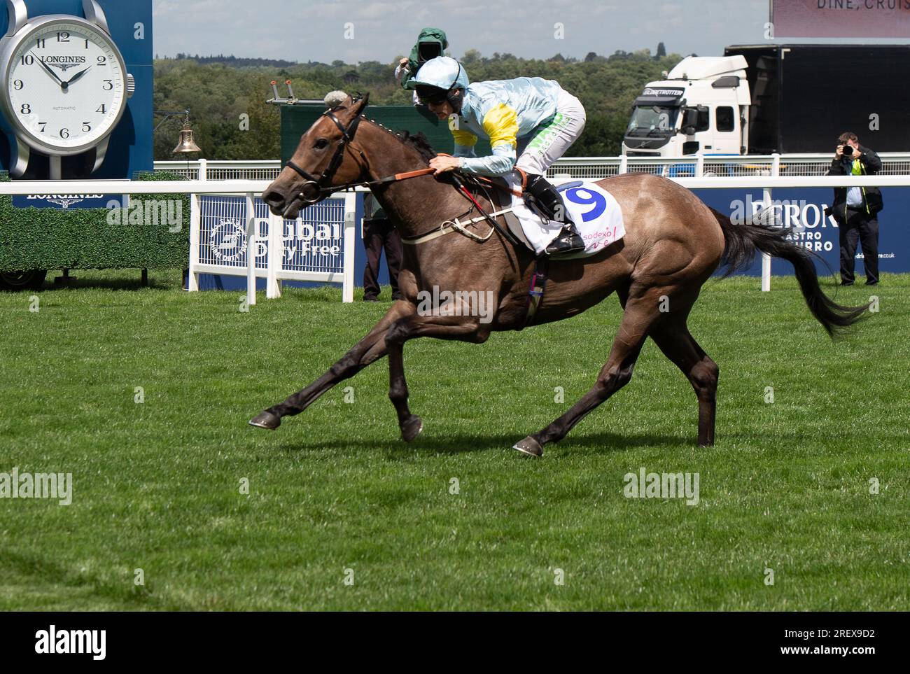 Ascot Berkshire Royaume Uni. 29 juillet 2023. Horse Sacred Angel