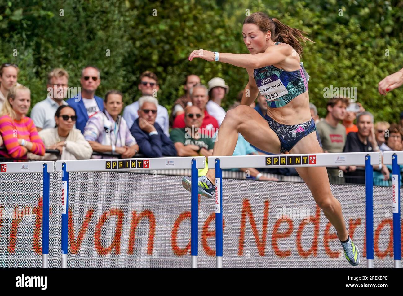 Merel wevers de dav kronos Banque de photographies et d’images à haute