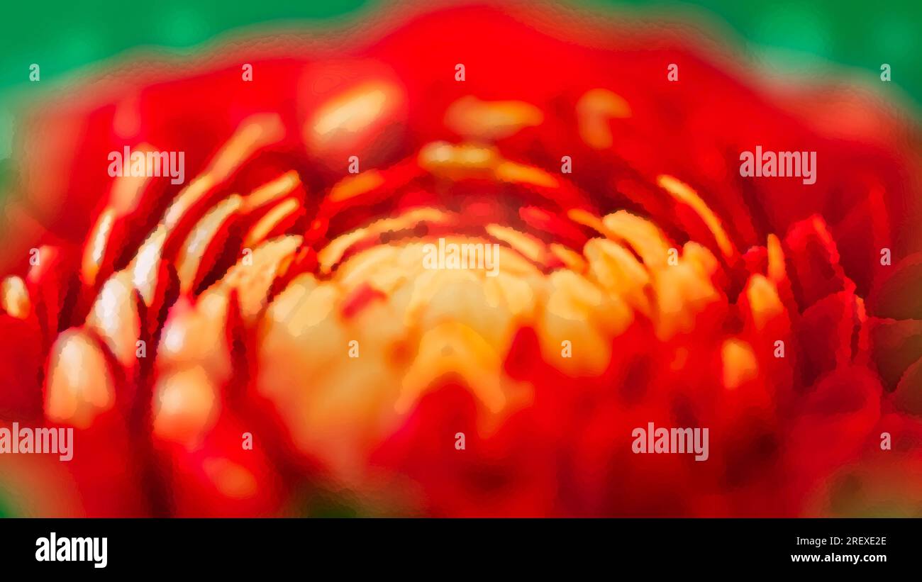 Fleur aquarelle peinte - dahlia en fleurs, gros plan Banque D'Images