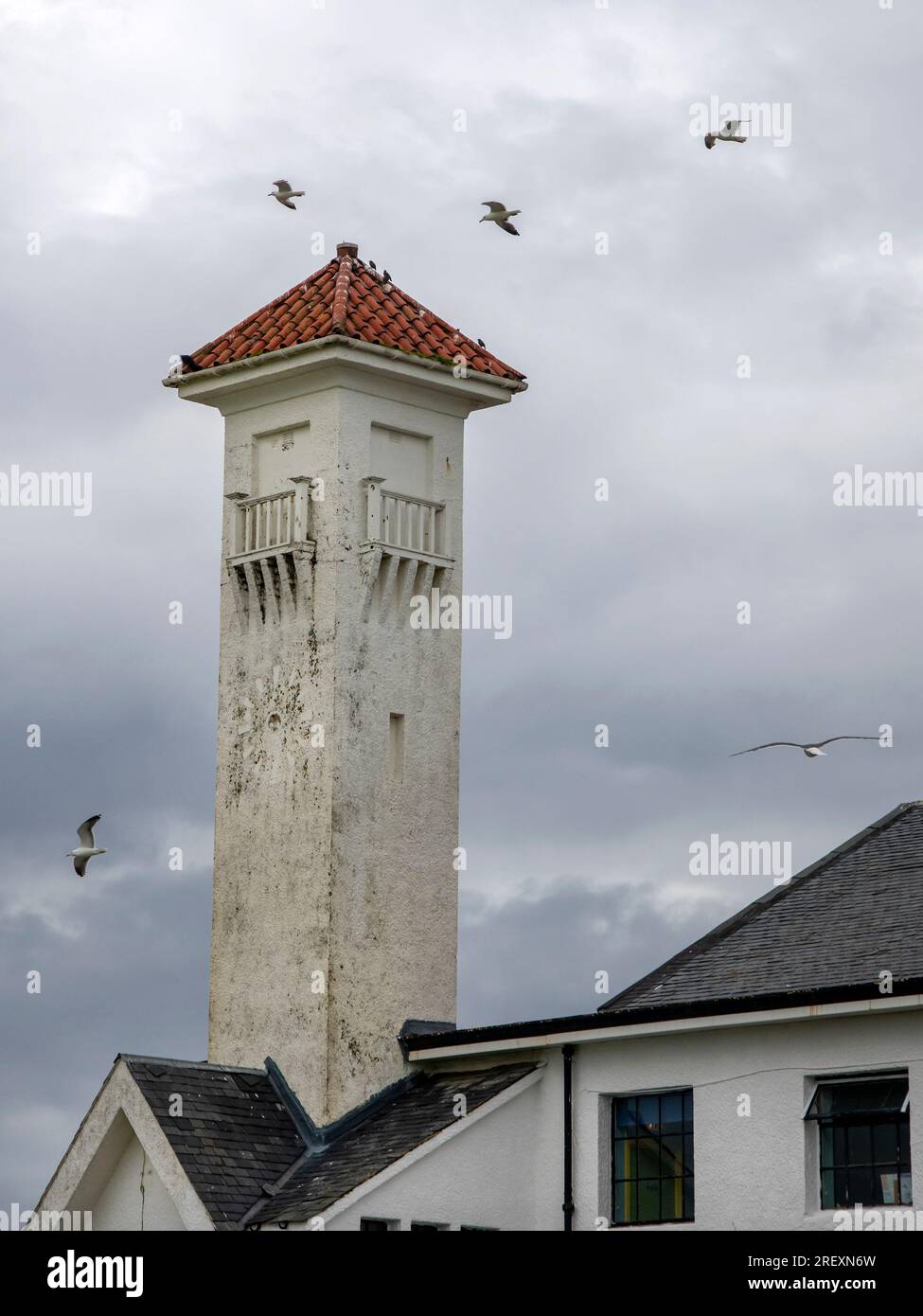 Ayr, Écosse Royaume-Uni. 29 juillet 2023 : des troupeaux de mouettes volent autour du pavillon Ayr à la recherche de nourriture. Banque D'Images