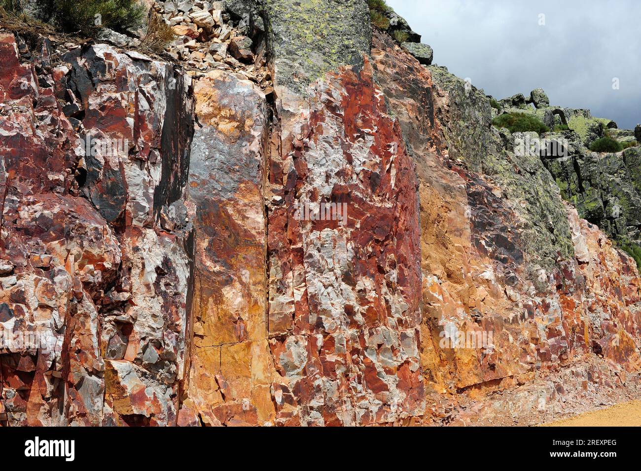 Le quartzite est une roche métamorphique composée de grès quartzeux. Cette photo a été prise à Peña de Francia, Salamanca, Castilla y Leon, Espagne. Banque D'Images