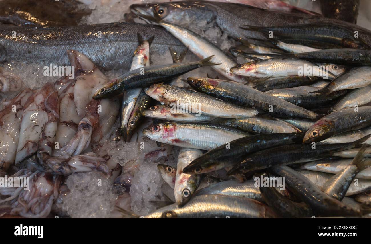 Gros plan de poisson frais sur glace dans un étal de poissonnerie local. Banque D'Images