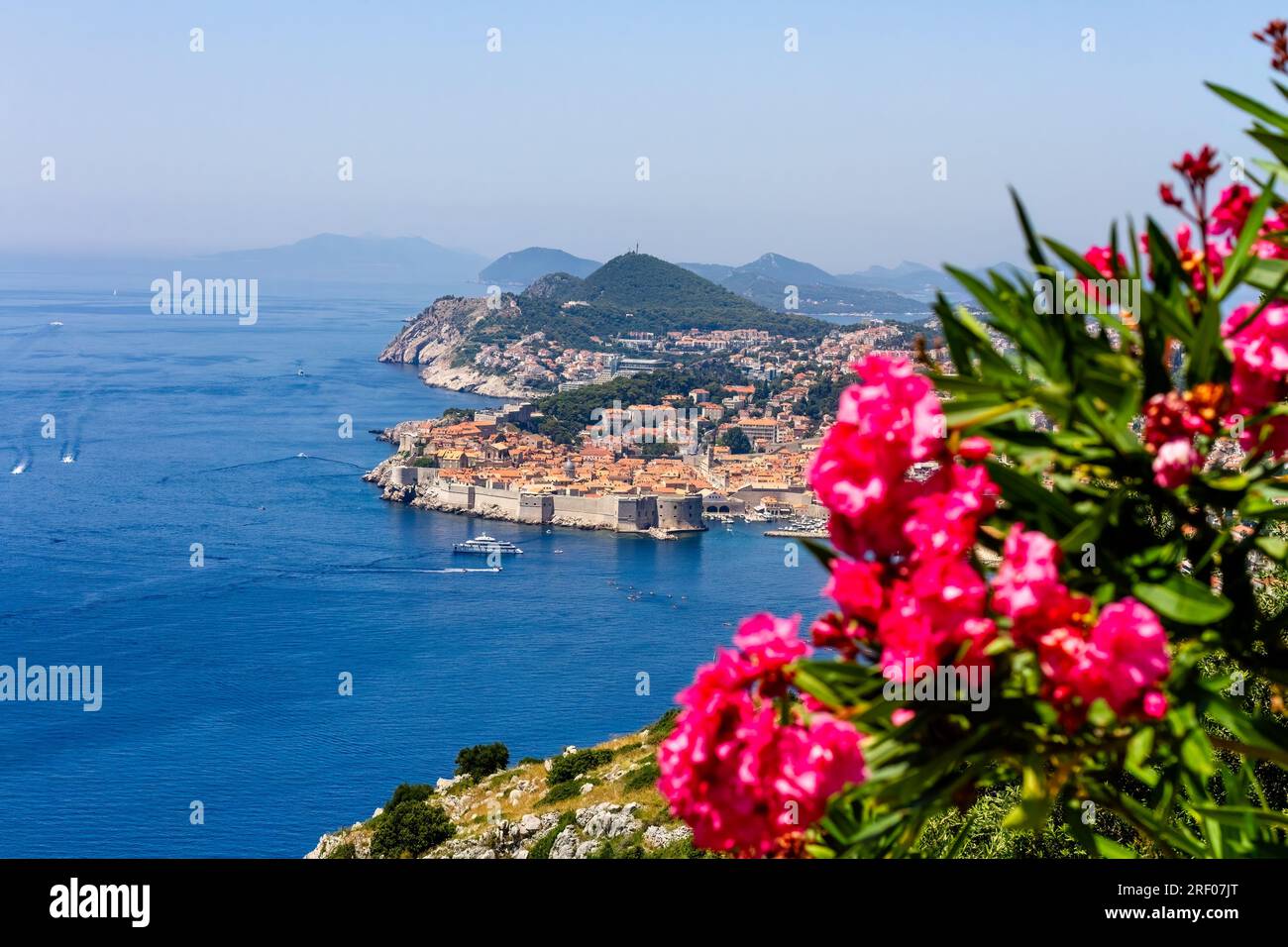 Fleurs rouges, mer bleue et vieille ville de Dubrovnik Banque D'Images