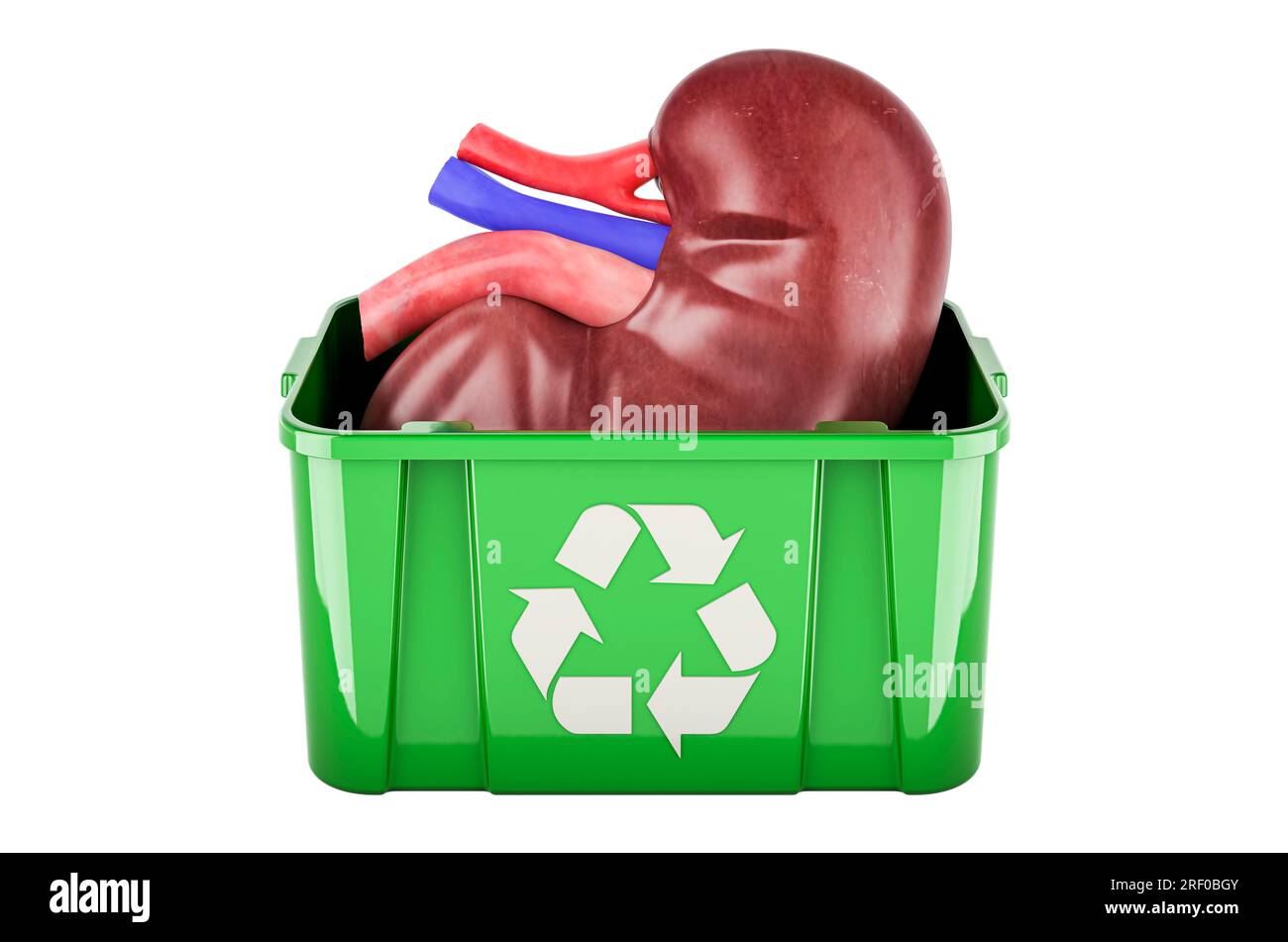 Recyclage poubelle avec rein humain, rendu 3D isolé sur fond blanc Banque D'Images