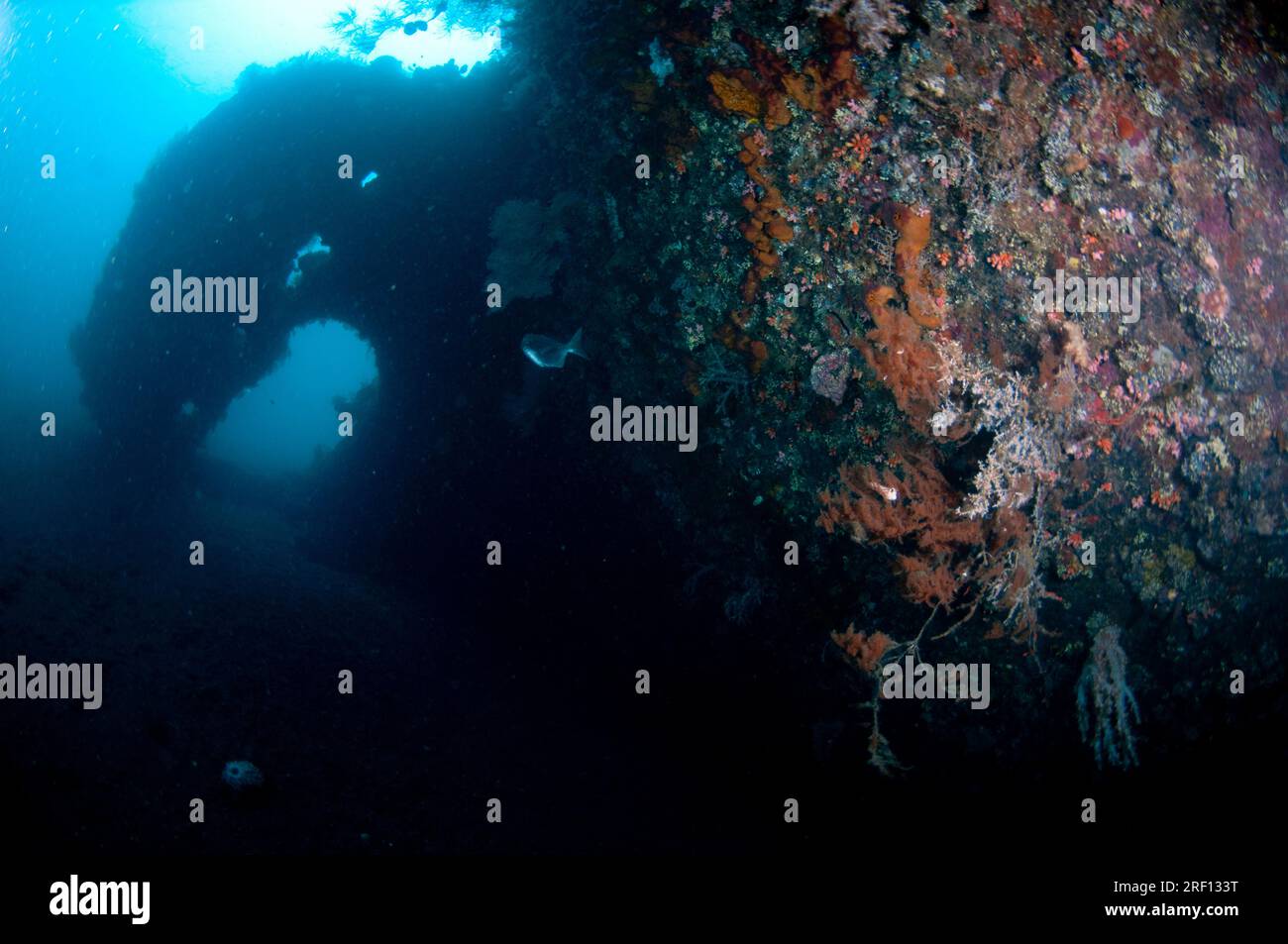 Côté incrusté de corail du navire USAT Liberty, site de plongée Liberty Wreck, Tulamben, Karangasem, Bali, Indonésie Banque D'Images