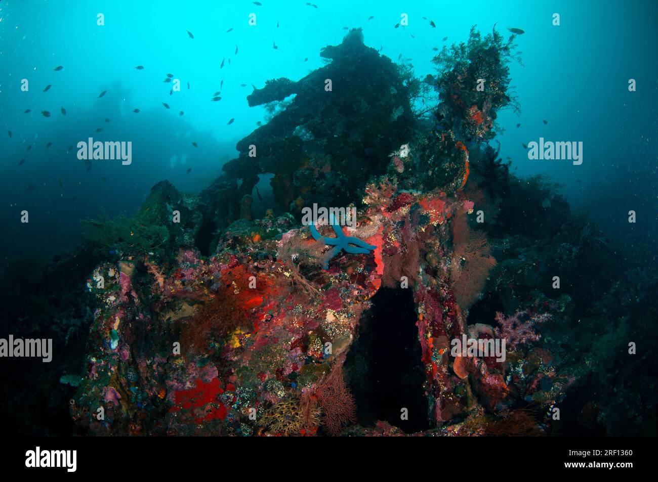 Côté incrusté de corail du navire USAT Liberty, site de plongée Liberty Wreck, Tulamben, Karangasem, Bali, Indonésie Banque D'Images
