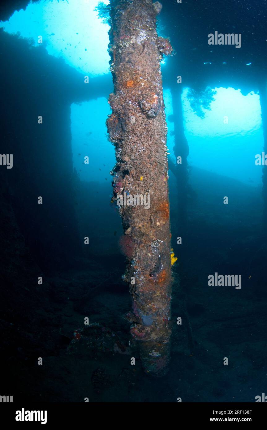 Pylône incrusté de corail en cale du navire USAT Liberty, site de plongée Liberty Wreck, Tulamben, Karangasem, Bali, Indonésie Banque D'Images