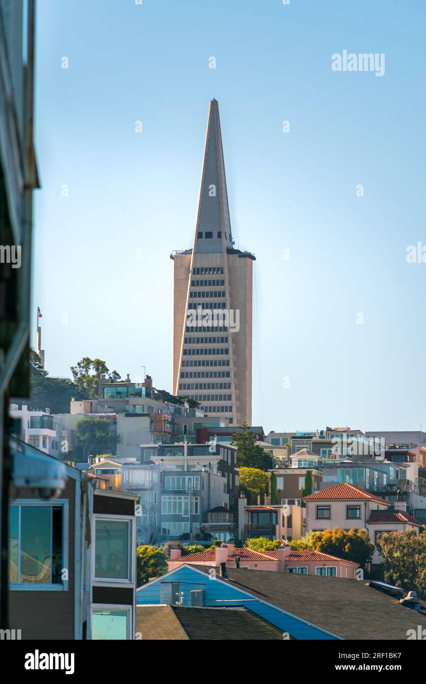 La Transamerica Pyramid domine les gratte-ciel de San Francisco, témoignage de l'ambition architecturale et du charme urbain de la ville. Banque D'Images