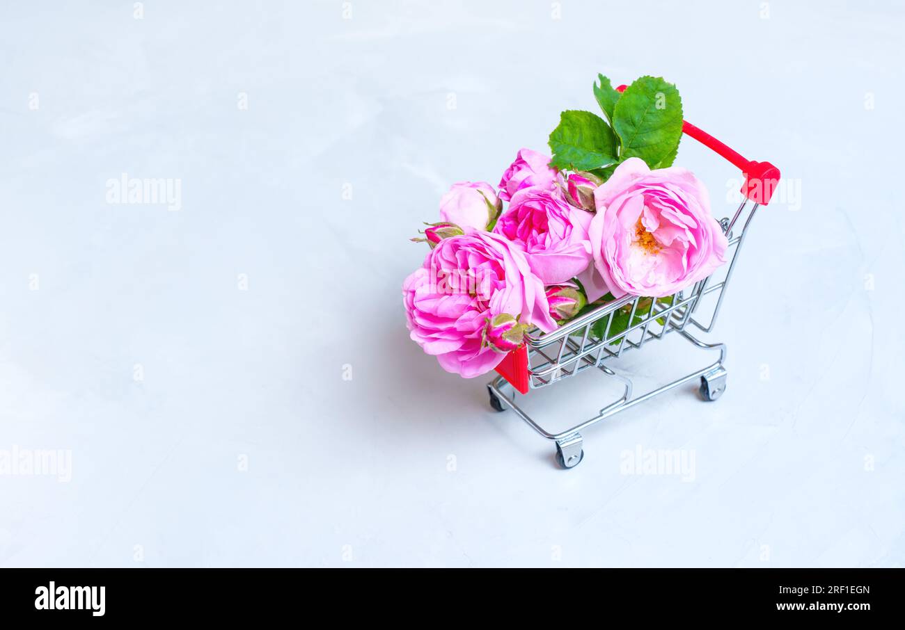 Gros plan d'un chariot de poussée miniature avec un délicat bouquet de roses en fleurs isolé sur fond gris. Concept de livraison de fleurs. Banque D'Images