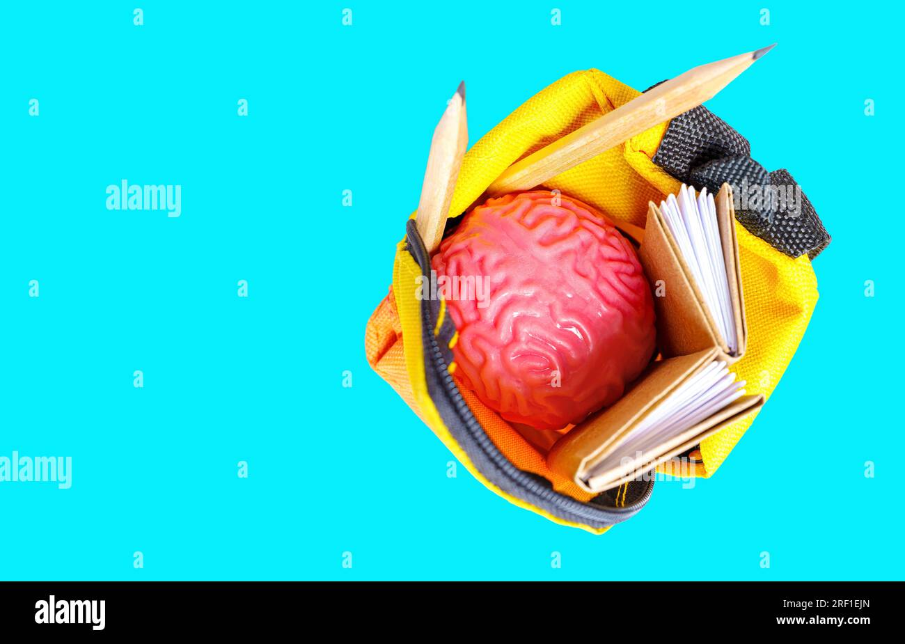 Modèle de cerveau humain rose, petits livres et crayons placés dans un sac à dos vibrant miniature isolé sur fond bleu. Conc. Lié à l'apprentissage et à l'éducation Banque D'Images