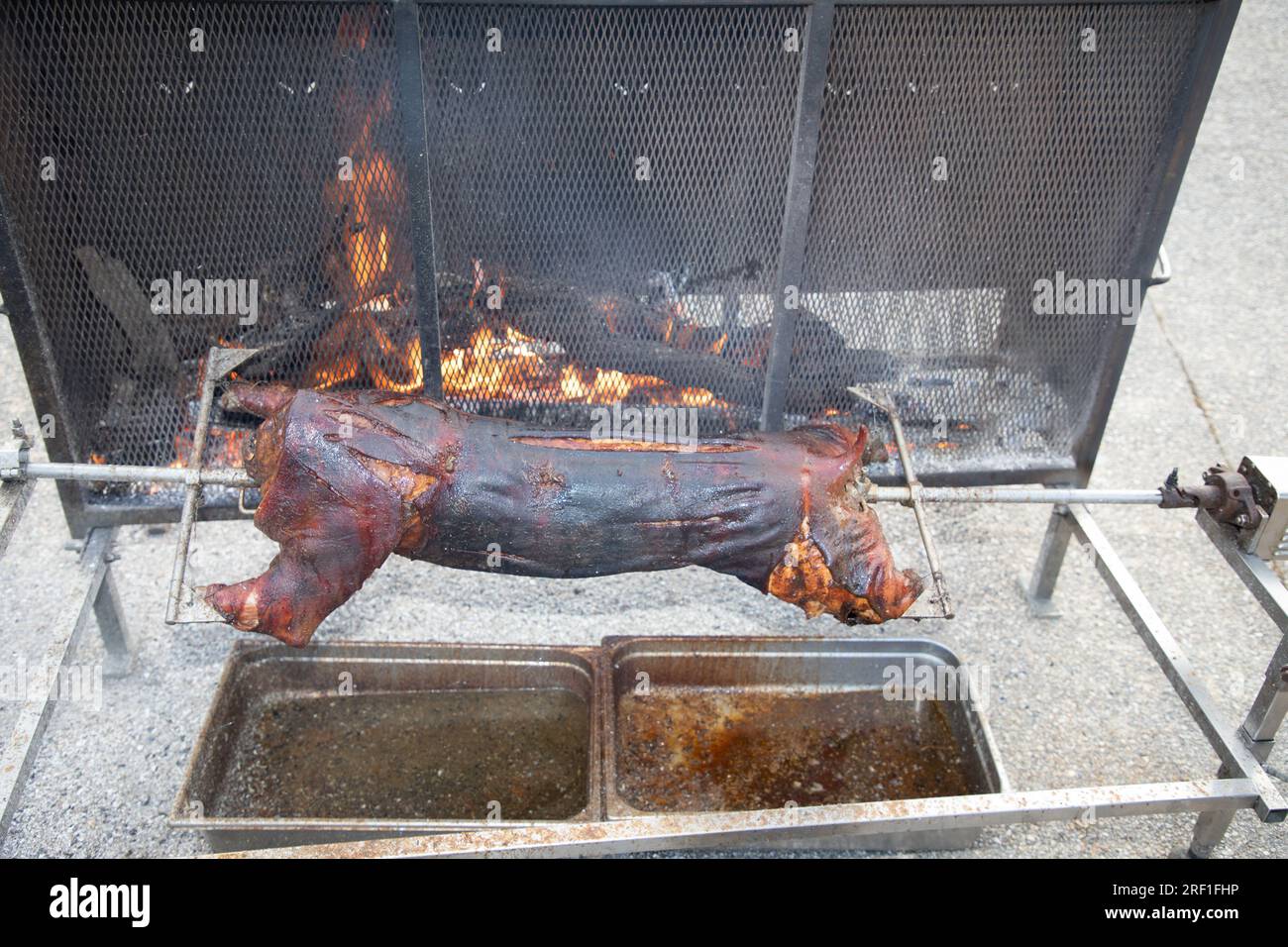 Cochon entier rôti rôti rôti barbecue cuisson viande de porc repas cuit Banque D'Images