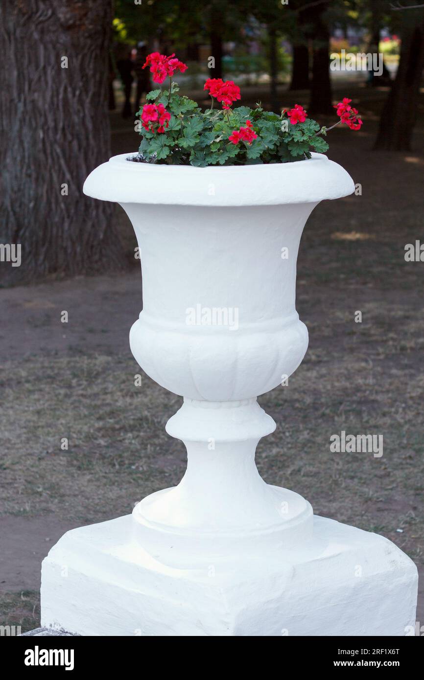 Vase blanc grand stand sculpté entièrement dans la pierre avec des fleurs en croissance, situé sur la rue dans le parc. Concentrez-vous sur vase Banque D'Images