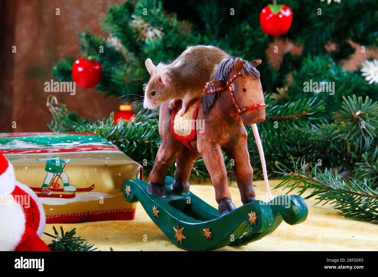 Souris couleur sur cheval à bascule Banque D'Images