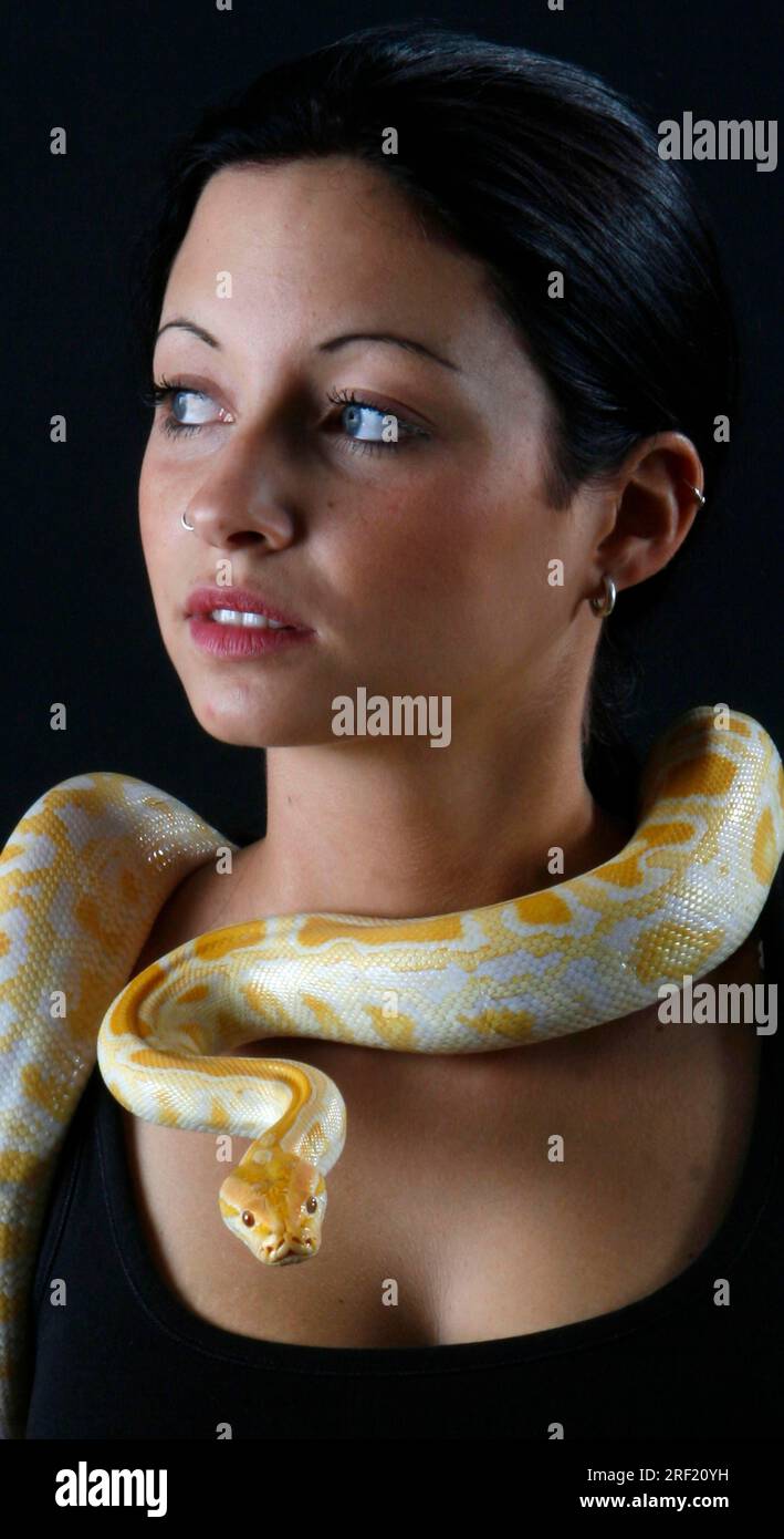 Femme avec Python indien (Python molurus), albinos Banque D'Images