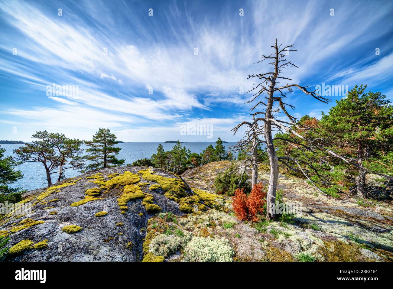 Île de Utterböte, Kirkkonummi, Finlande Banque D'Images