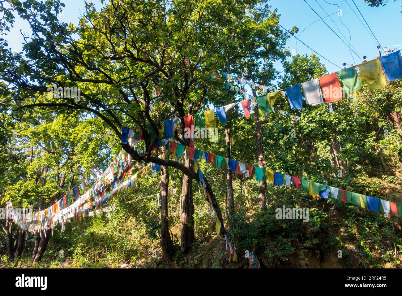 Date : 14 octobre 2022. Dehradun, Uttarakhand, Inde. Les drapeaux de prière tibétains ornent les sentiers et les sommets de l'Himalaya. Bénédictions en tissu rectangulaire et coloré. Banque D'Images