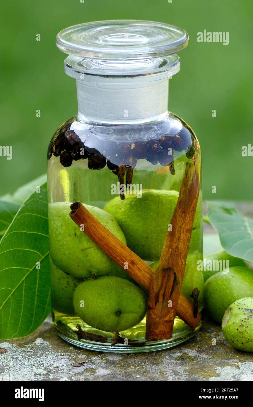 Amers à base de noix, cannelle, clous de girofle, baies de genièvre et eau-de-vie (Juglans regia) Banque D'Images