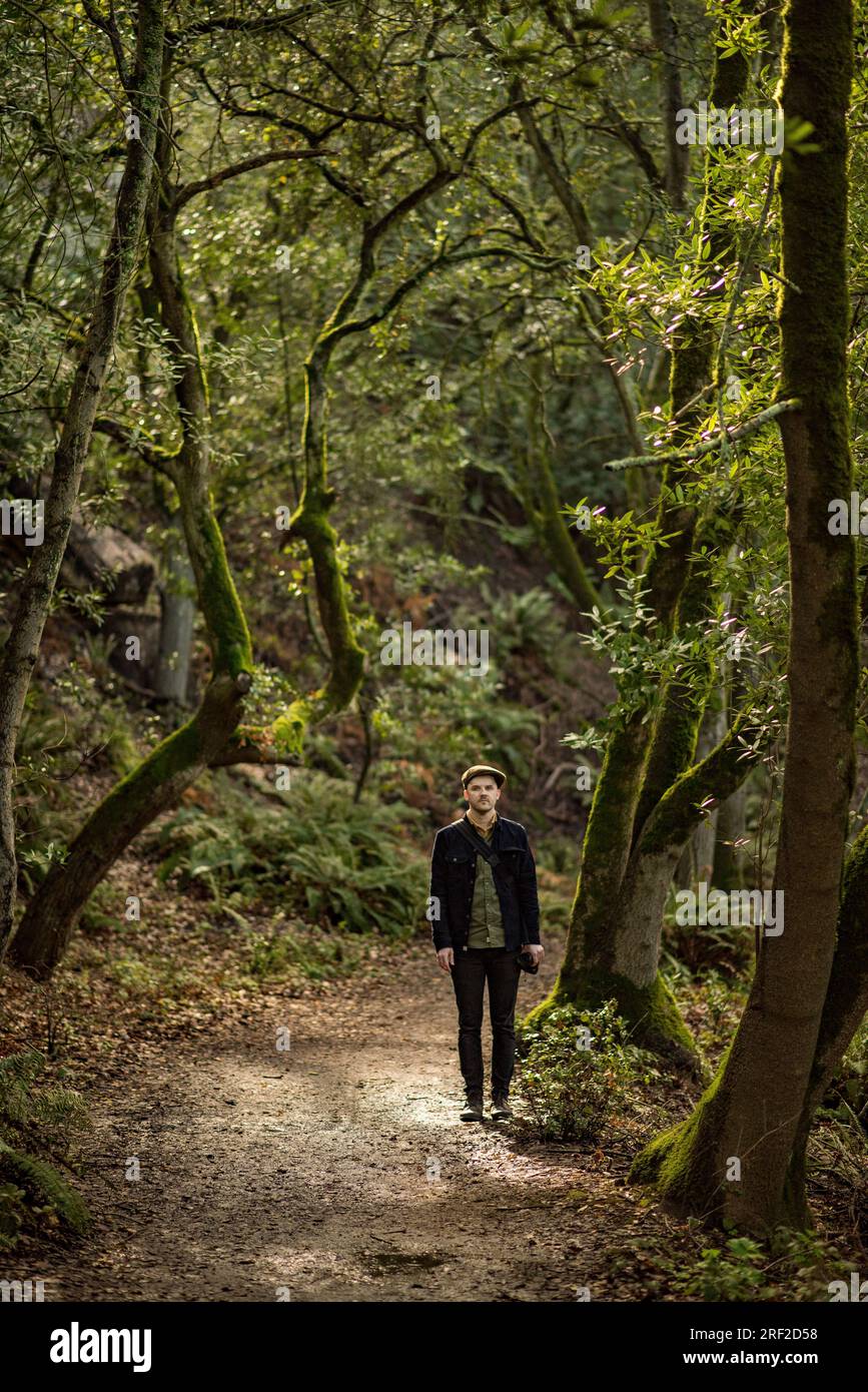 Homme debout sur un sentier de randonnée boisé dans un rayon de soleil Banque D'Images