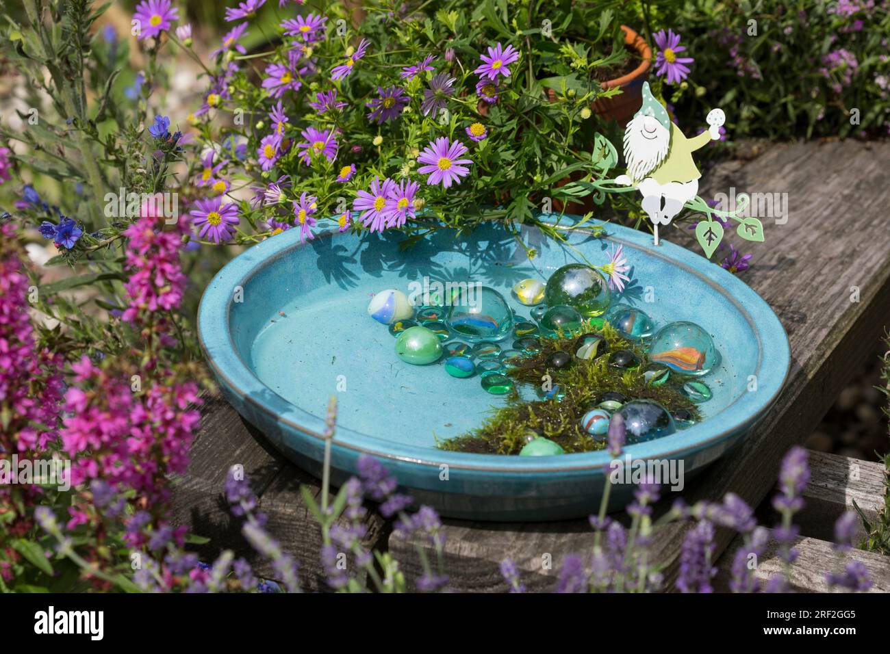 bol à boire pour insectes de jardin avec des billes de verre et de la mousse pour éviter la noyade Banque D'Images