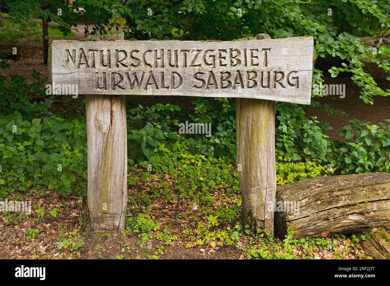 Panneau d'entrée Urwald Sababurg, Allemagne, Hesse, Reinhardswald Banque D'Images