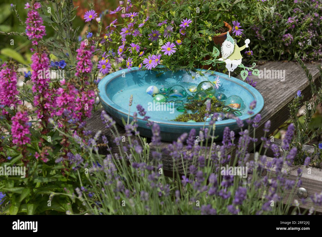 bol à boire pour insectes de jardin avec des billes de verre et de la mousse pour éviter la noyade Banque D'Images