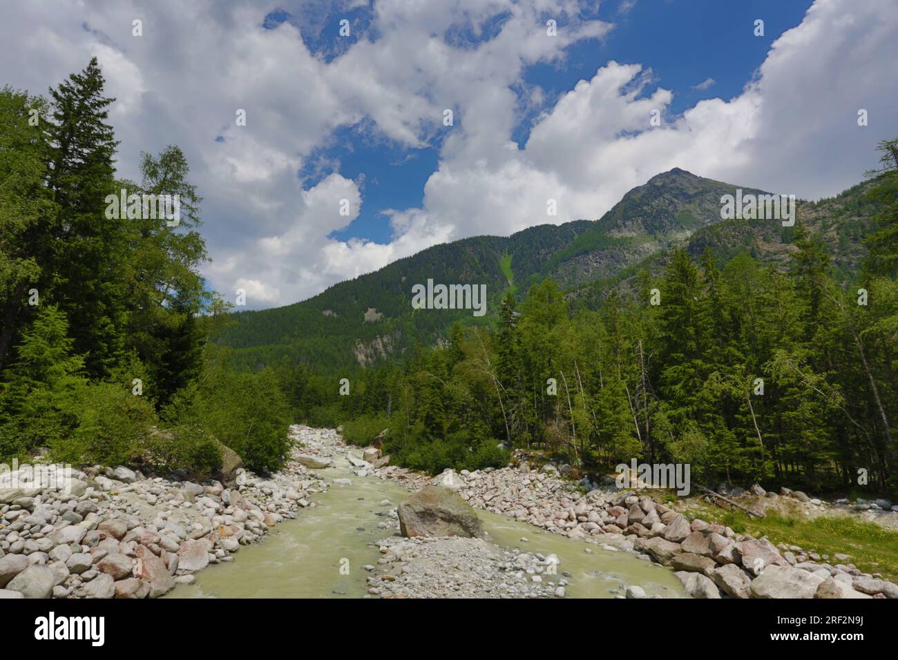 France, Chamonix : l'Arve Banque D'Images