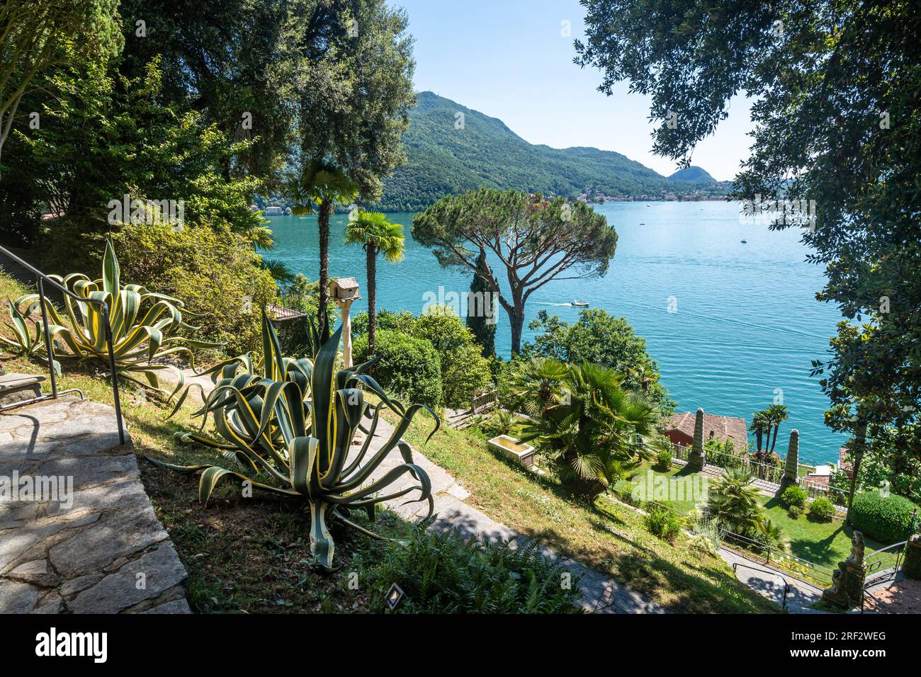Le magnifique parc Scherrer à Morcote, plein de flore subtropicale exquise au bord du lac de Lugano, en Suisse Banque D'Images