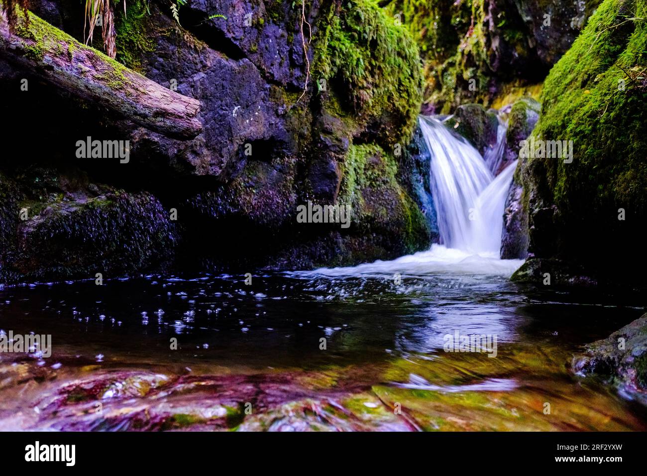 Photo à obturation lente capturant le mouvement d'une petite cascade à Dollar Glen avec des rochers recouverts de mousse et des fougères Banque D'Images
