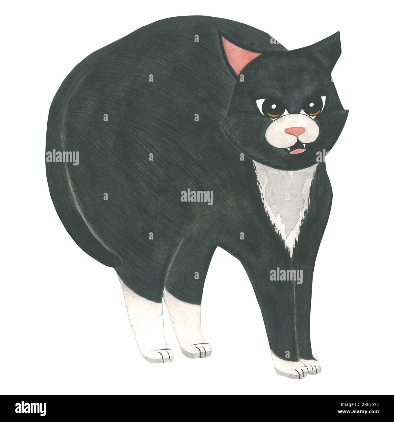 Illustration à l'aquarelle d'un chat noir qui a arqué son dos et siffle. Fait à la main isolé sur fond blanc Banque D'Images