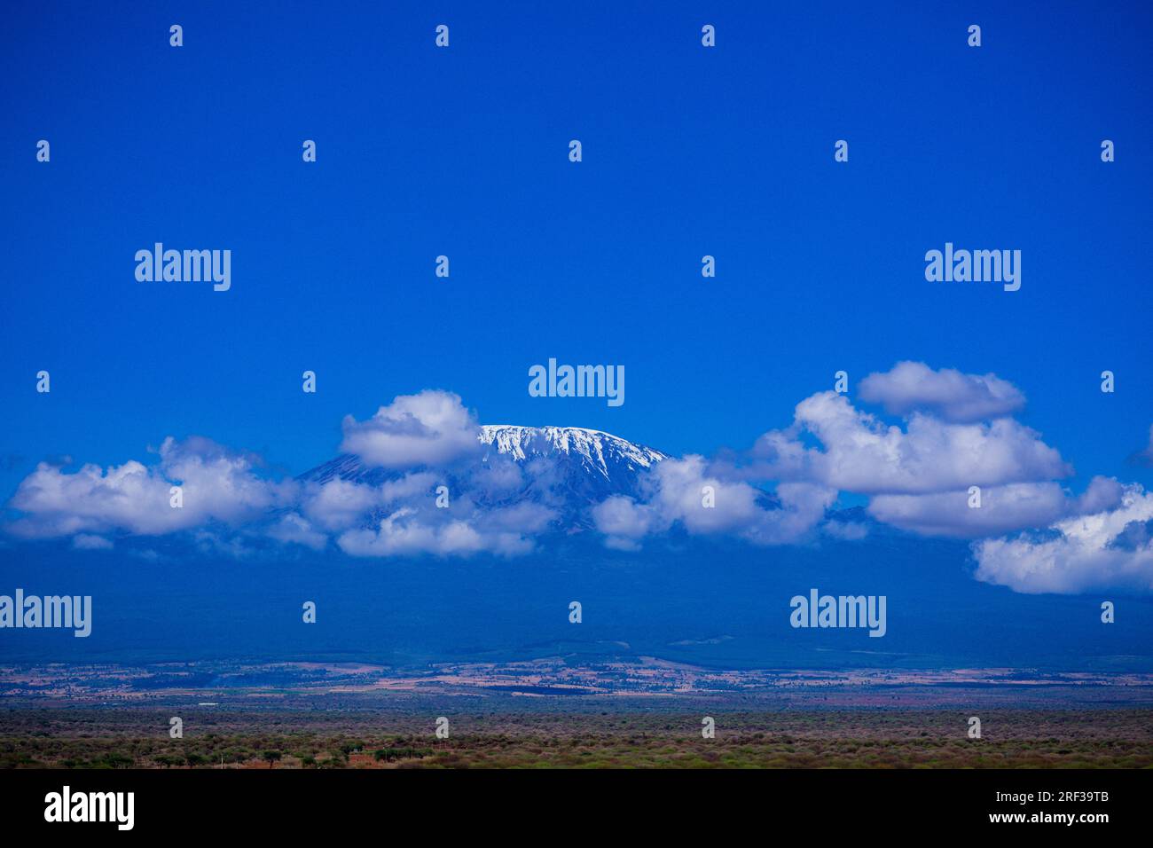 Mont Kilimanjaro volcan dormant en République-Unie de Tanzanie Kibo Mawenzi Shira sommets les plus élevés le Kilimanjaro est le nom de la plus haute montagne Banque D'Images