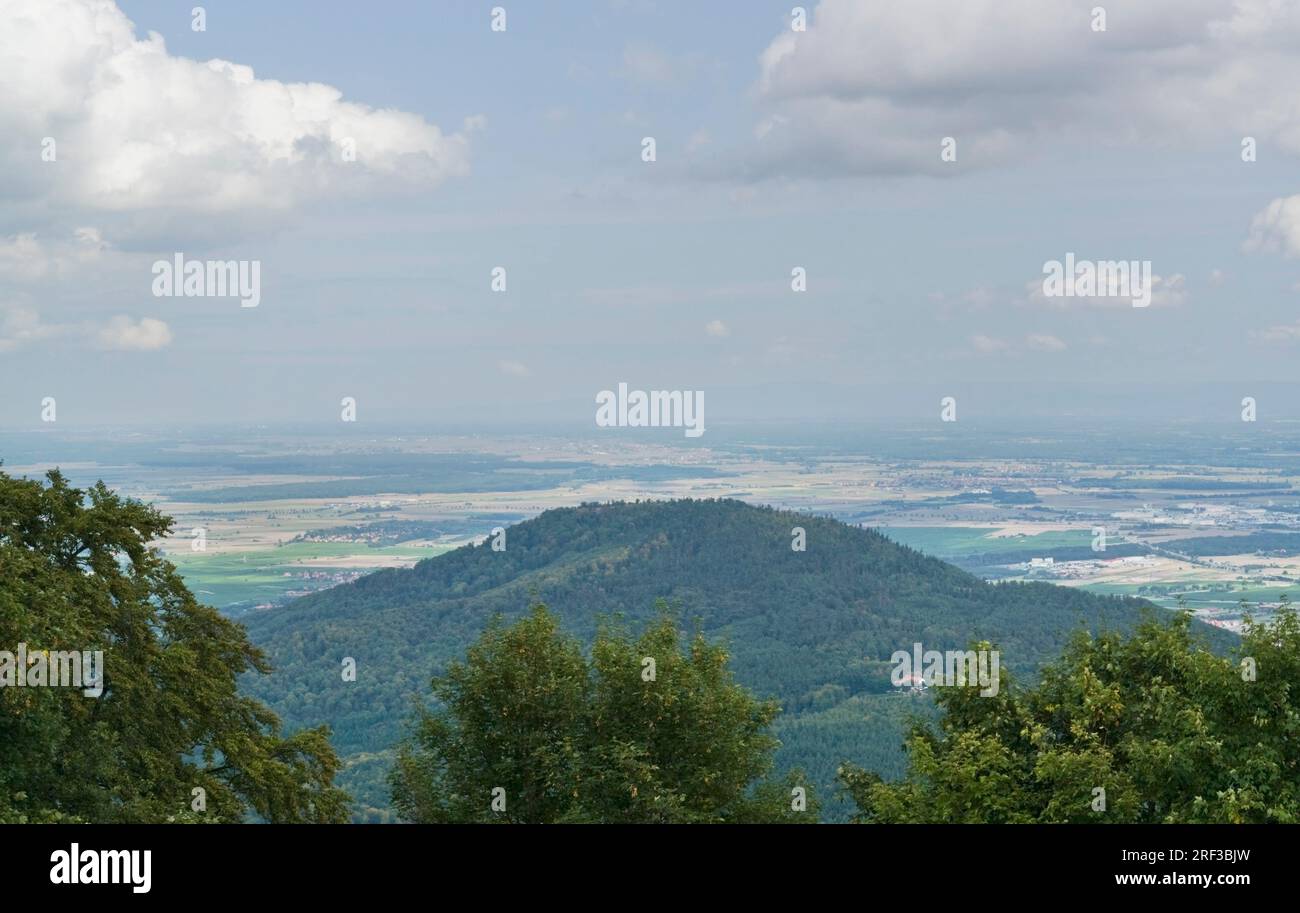 Vue aérienne autour du château du Haut-Koenigsbourg, un château historique situé dans un domaine appelé "Alsace" en France Banque D'Images