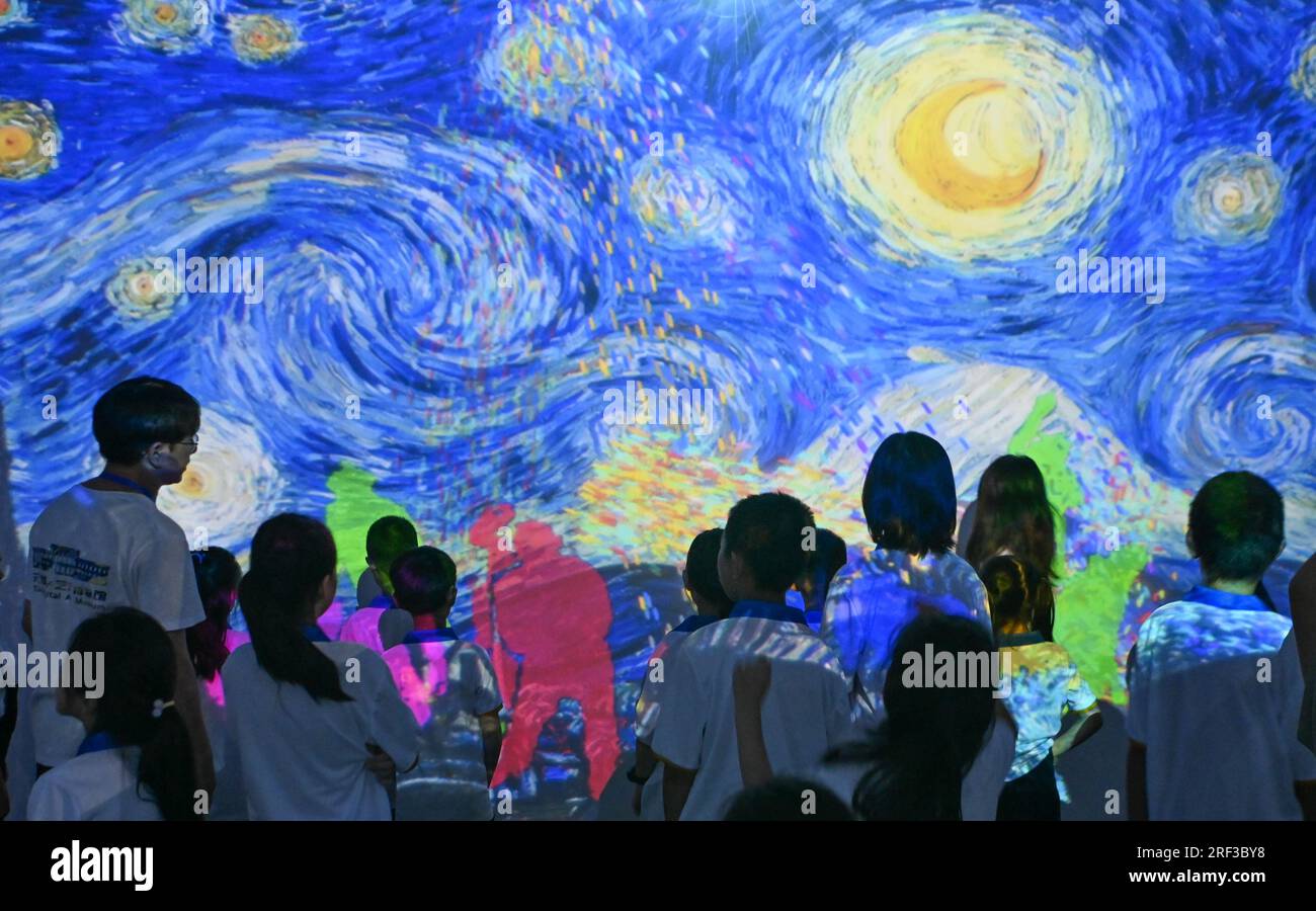 Tianjin, Chine. 30 juillet 2023. Les élèves regardent une exposition immersive d'une œuvre d'art au Musée d'art numérique de Tianjin, dans le nord de la Chine, le 30 juillet 2023. Pendant les vacances d'été, le Musée maritime national de Chine et le Musée d'art numérique de Tianjin ont offert conjointement aux étudiants un camp d'étude sur le thème de l'océan et de l'art. Au total, 22 étudiants de Pékin, Tianjin et de la province du Hebei ont appris des connaissances sur l’océan et la nature et sont entrés en contact avec l’art numérique pendant le camp. Crédit : Sun Fanyue/Xinhua/Alamy Live News Banque D'Images