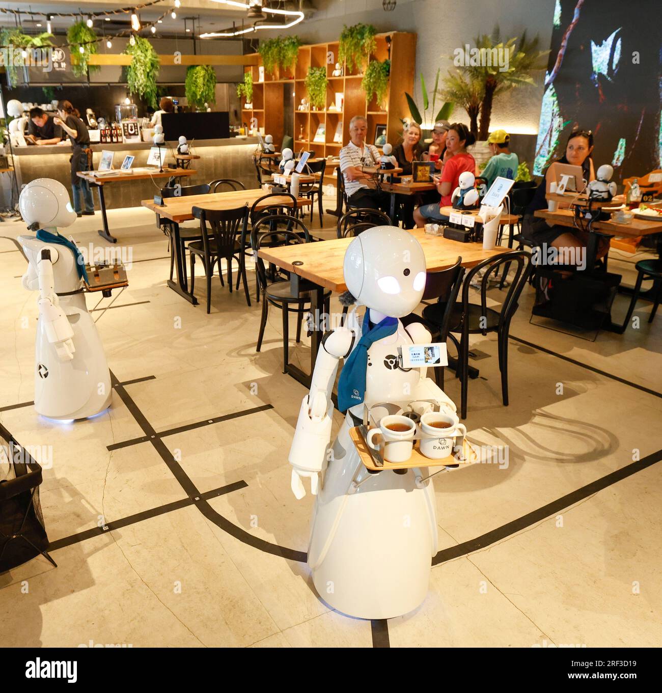 DAWN AVATAR ROBOT CAFÉ TOKYO Banque D'Images