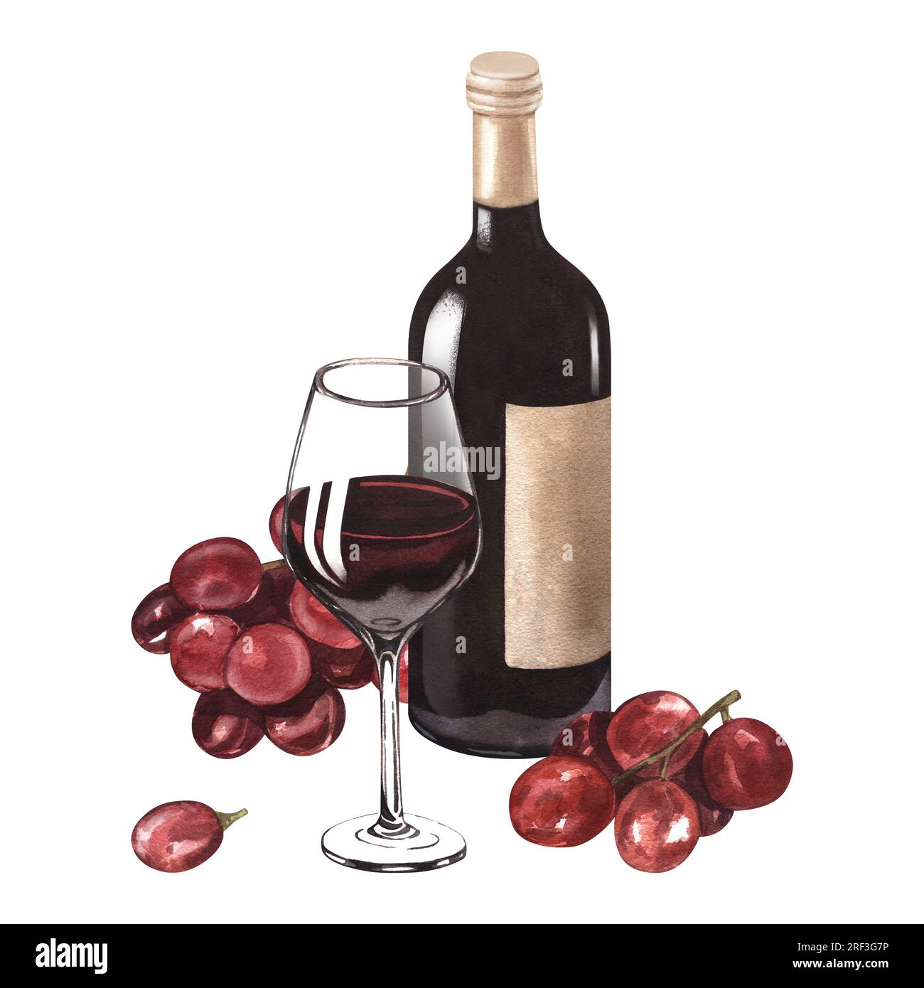 Illustration à l'aquarelle de la bouteille de vin rouge, du verre de vin et du raisin. Photo d'une boisson alcoolisée isolée sur fond blanc. Concept pour le vin Banque D'Images