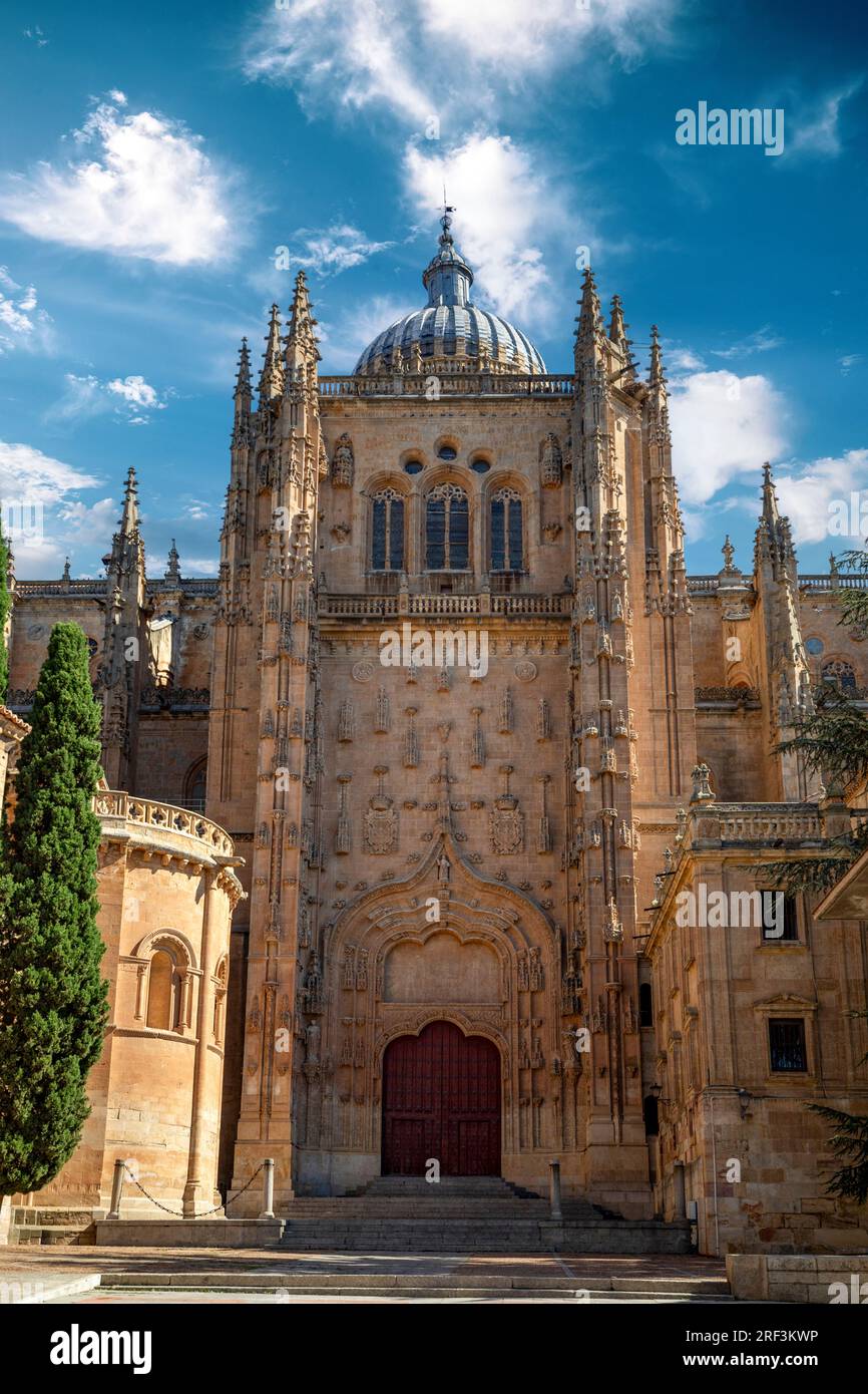 Façade latérale monumentale de la cathédrale de Salamanque, en Espagne, ville classée au patrimoine mondial de l'UNESCO Banque D'Images