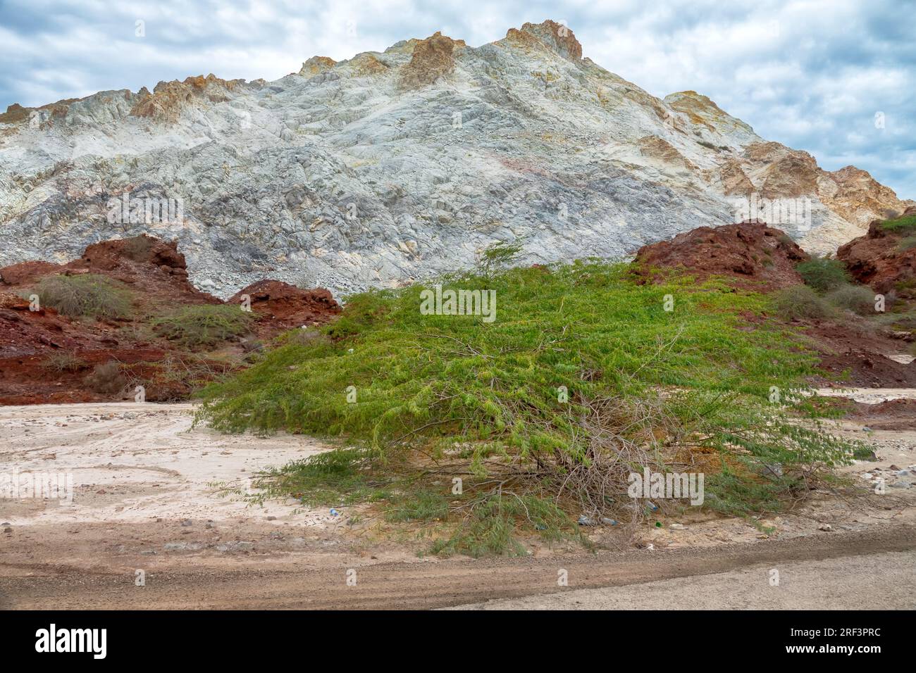 Montagnes Salines. dépôts d'halite. Végétation mince. Origine volcanique Ormuz Island. Banque D'Images