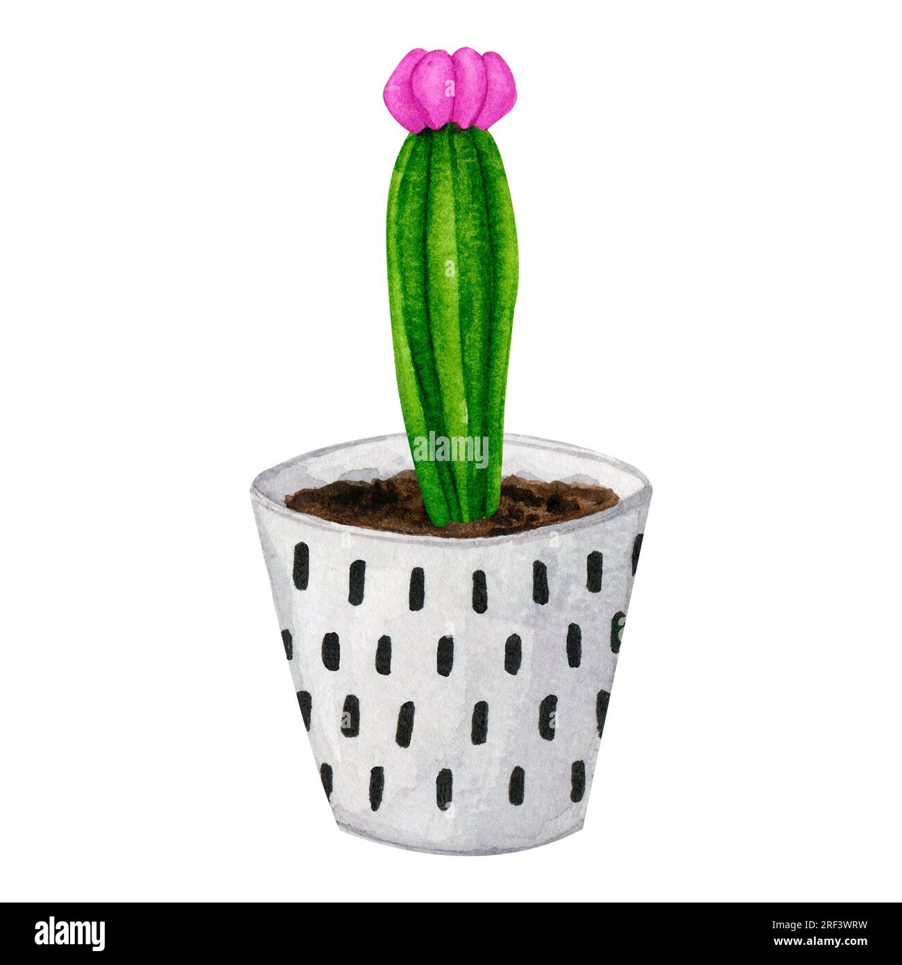 Cactus dans un pot en céramique. Boho, style scandinave. Clipart aquarelle pour la conception de cartes, logos, papeterie, impression, tissu, textile pour la maison. Banque D'Images
