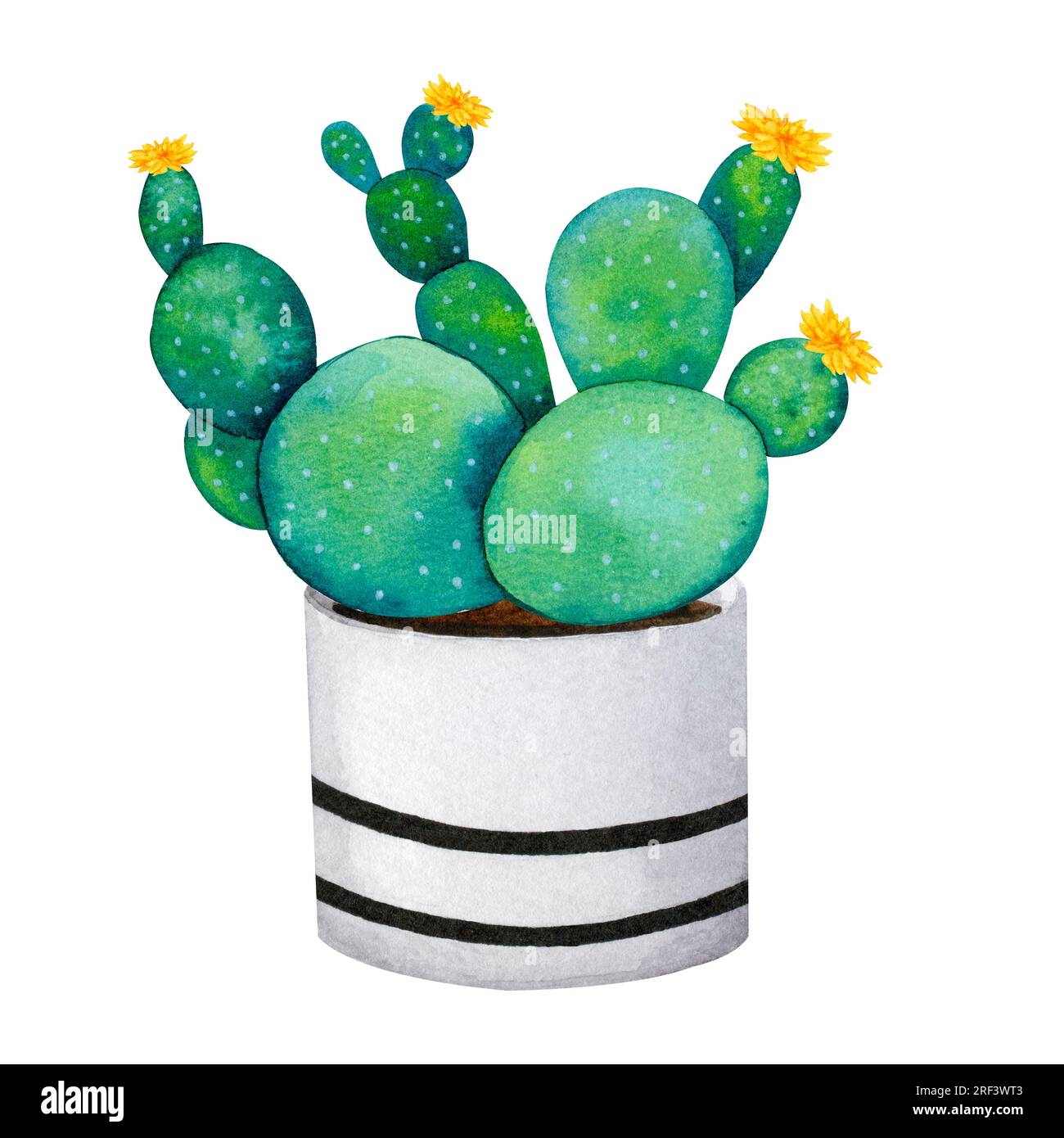 Cactus dans un pot en céramique. Boho, style scandinave. Clipart aquarelle pour la conception de cartes, logos, papeterie, impression, tissu, textile pour la maison. Banque D'Images