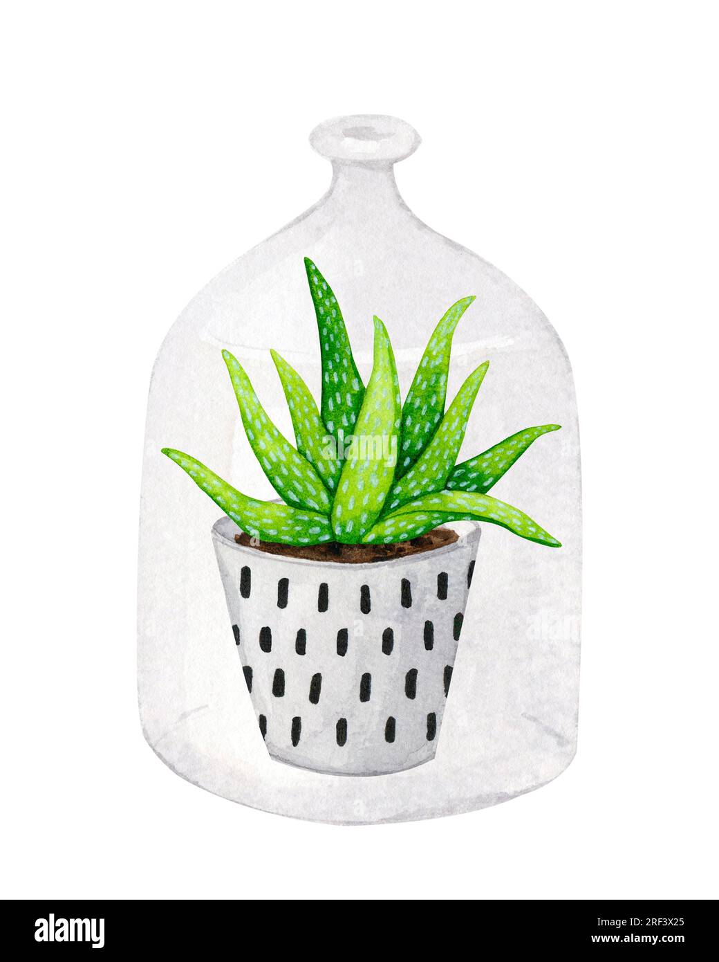 Aloès dans un pot en céramique. Boho, style scandinave. Clipart aquarelle pour la conception de cartes, logos, papeterie, impression, tissu, textile pour la maison. Banque D'Images