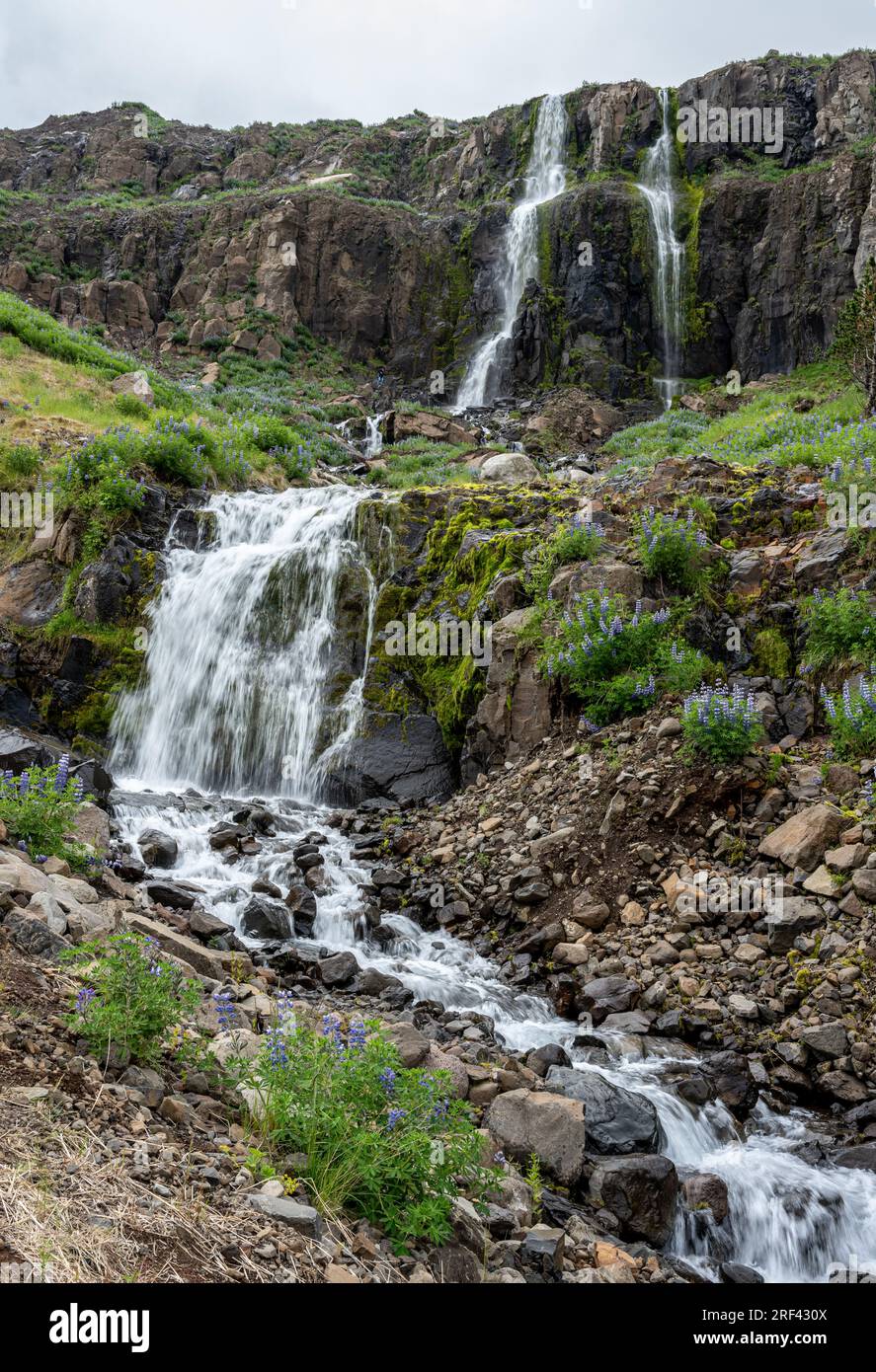 Cascades sur la rivière Budara, Seyðisfjörður Banque D'Images