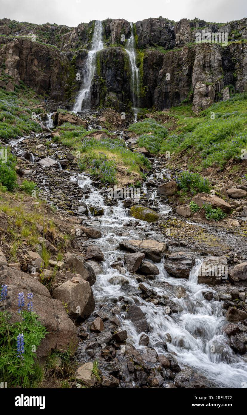 Cascades sur la rivière Budara, Seyðisfjörður Banque D'Images