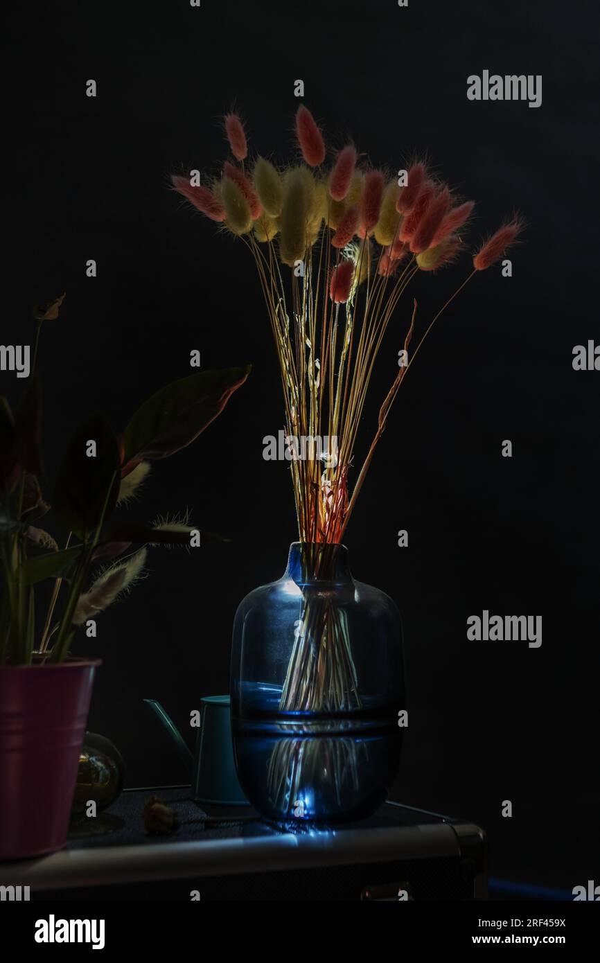 Quelques fleurs séchées dans un vase en verre bleu qui reçoit un rayon de soleil et le traverse Banque D'Images