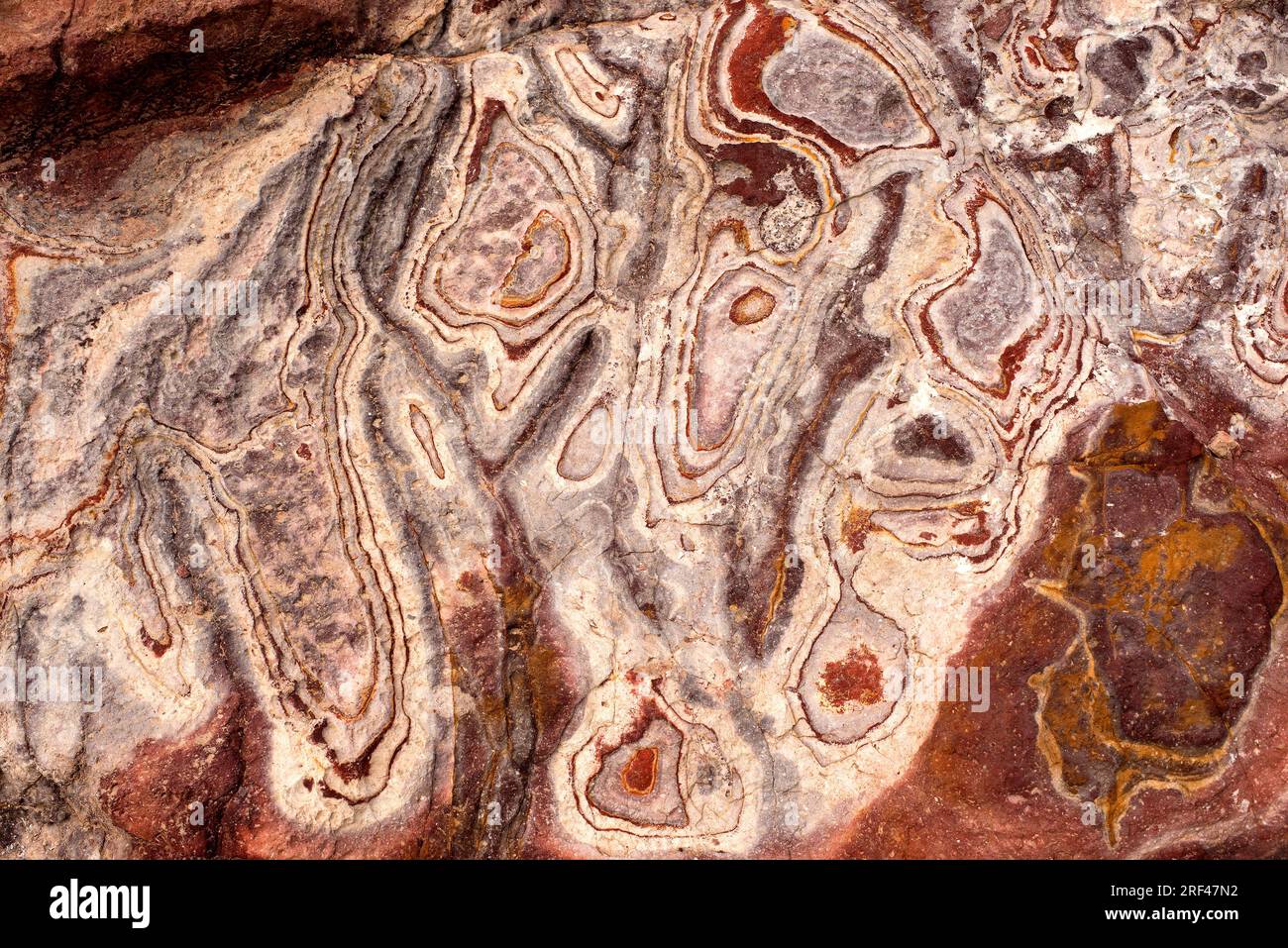 Ignimbrite avec jarosite (jaune), goethite (rouge) et anneaux Liesegang. Cette photo a été prise à Rodalquilar, Cabo de Gata, Almeria, Andalousie, Espagne. I. Banque D'Images