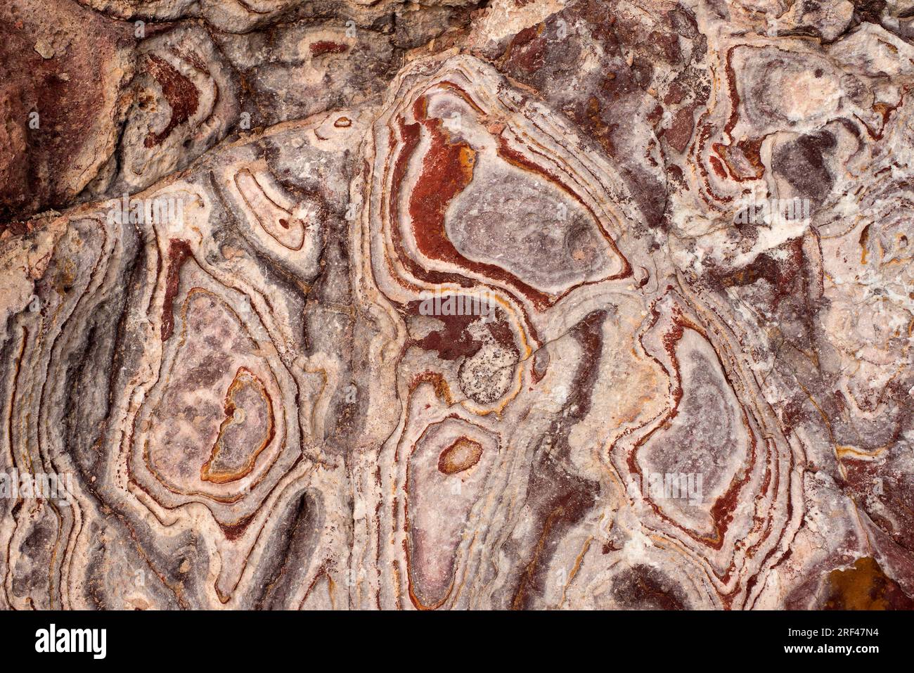 Ignimbrite avec jarosite (jaune), goethite (rouge) et anneaux Liesegang. Cette photo a été prise à Rodalquilar, Cabo de Gata, Almeria, Andalousie, Espagne. I. Banque D'Images