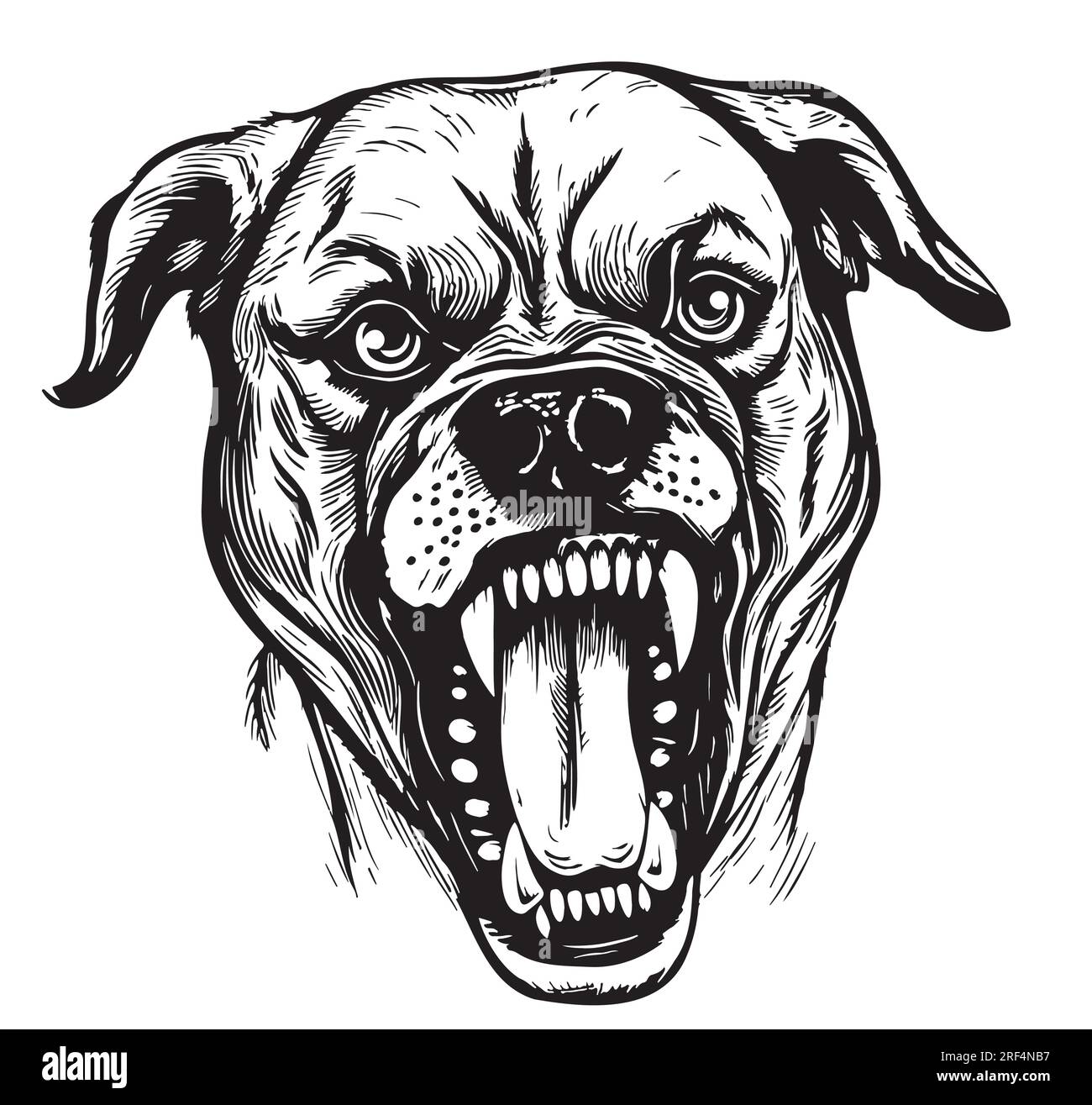 Tête de chien en colère croquis dessiné à la main Vector illustration animaux de compagnie Illustration de Vecteur