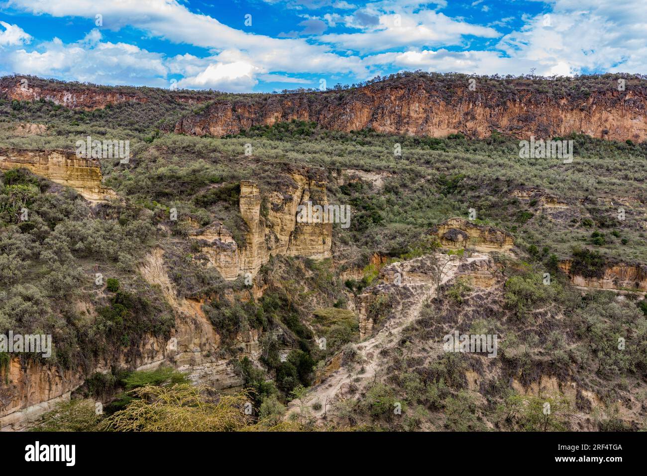 Paysage nature au parc national de Hells Gate Great Rift Valley Nakuru County Kenya Afrique orientale le parc national de Hell's Gate se trouve au sud du lac Naivasha i. Banque D'Images