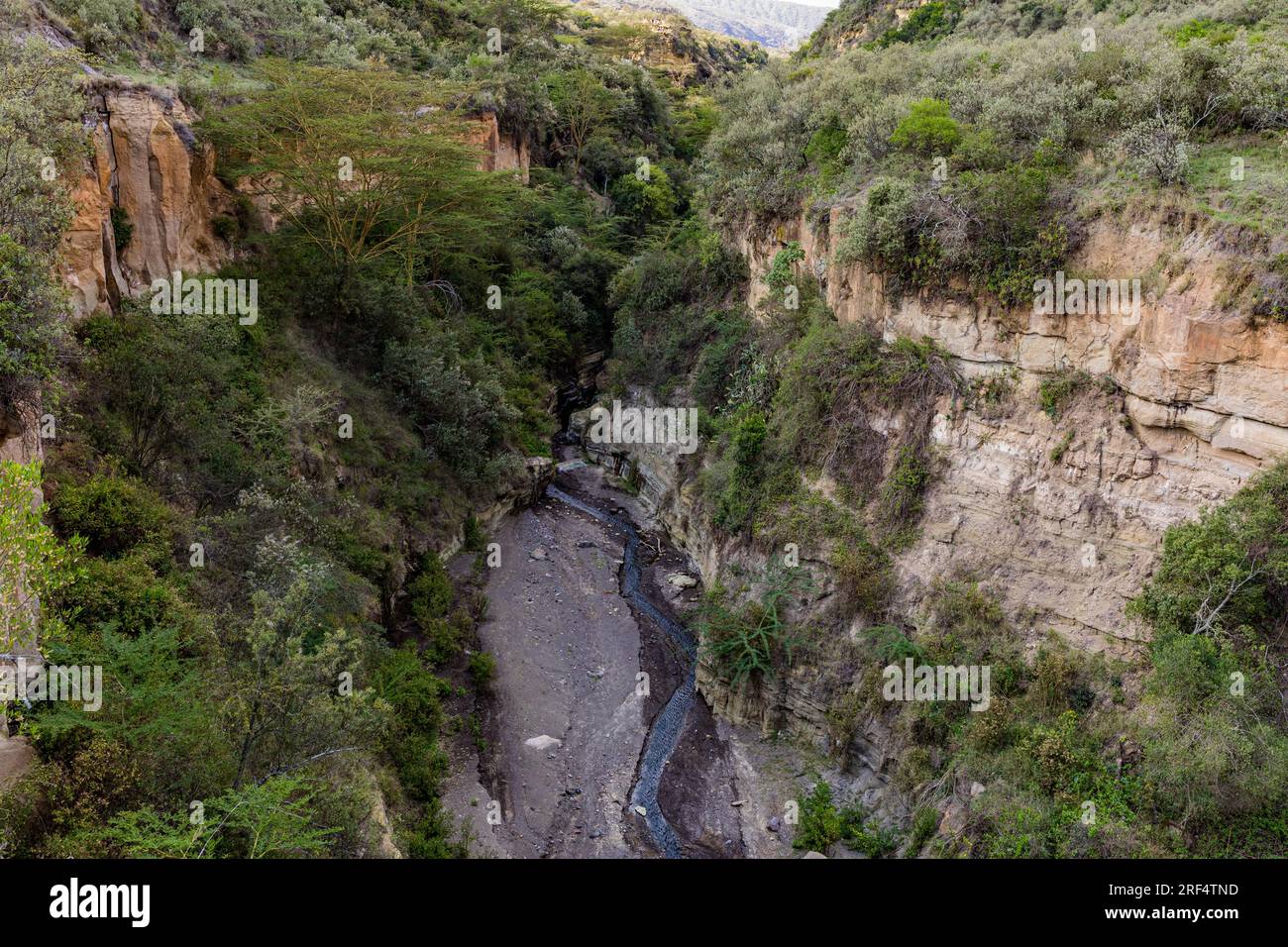 Paysage nature au parc national de Hells Gate Great Rift Valley Nakuru County Kenya Afrique orientale le parc national de Hell's Gate se trouve au sud du lac Naivasha i. Banque D'Images